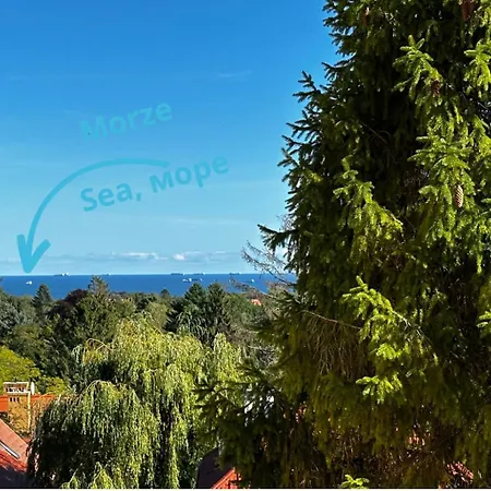 Homestay Nowy Surf *